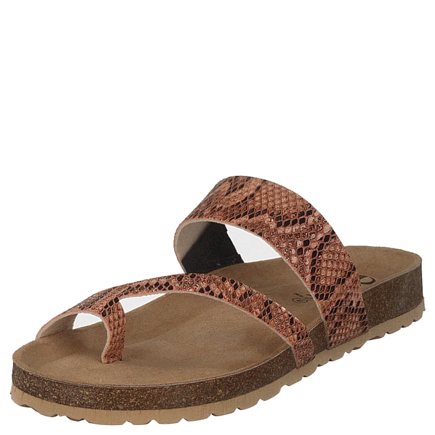 Adan Sand Snake