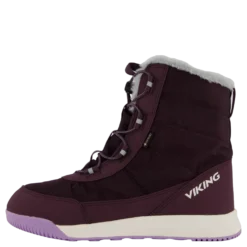 Aery Warm Gtx Sl Grape/lilac