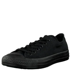All Star Canvas Ox