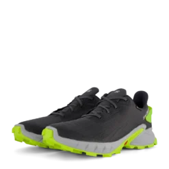 Alphacross 4 Gtx Ebony/pearl Blue/acid Lime