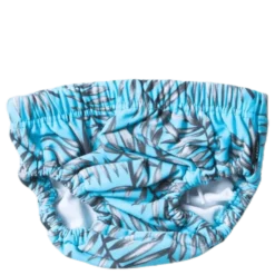 Bay Swim Diaper Blue