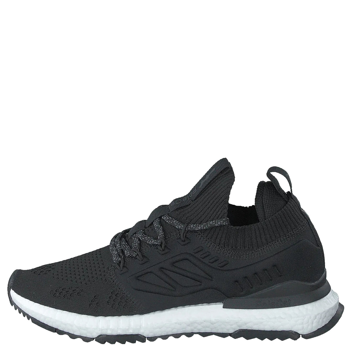 Beta Florida Black
