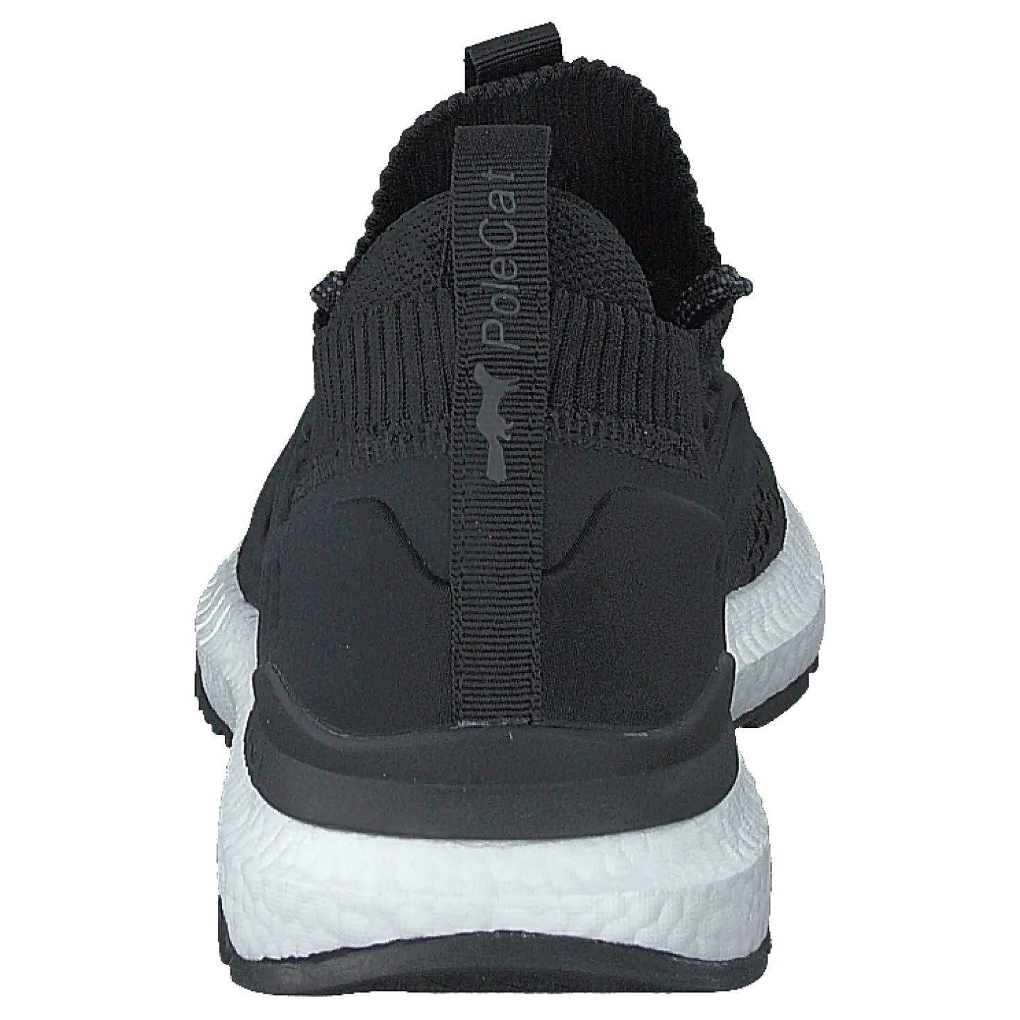 Beta Florida Black