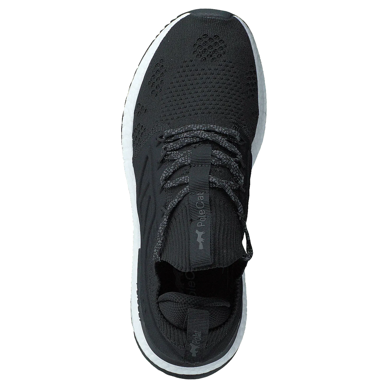 Beta Florida Black