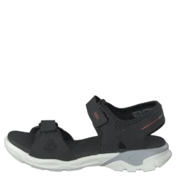 Biom Raft Black