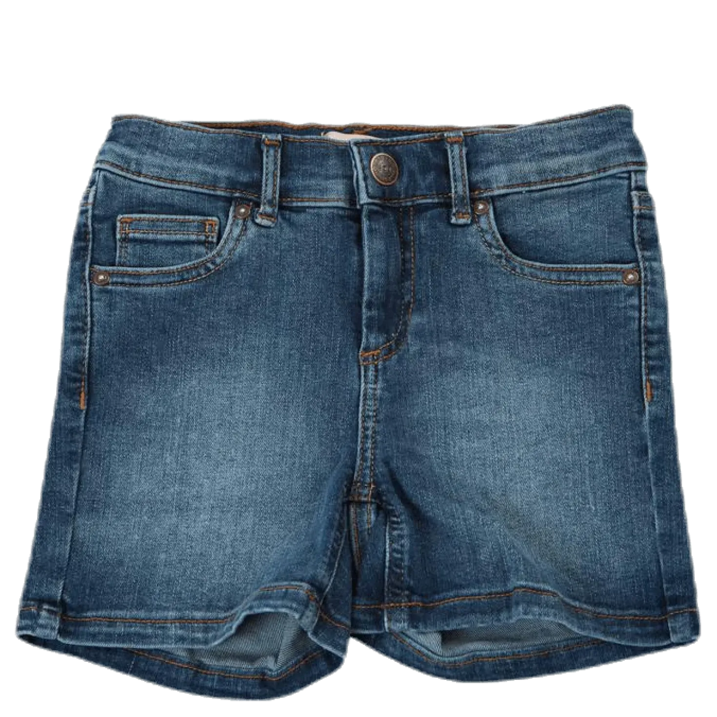 Blush Dnm Shorts Blue
