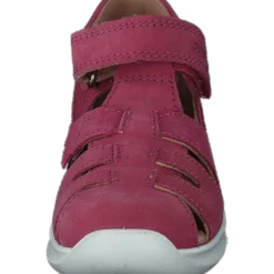 Bumblebee Pink
