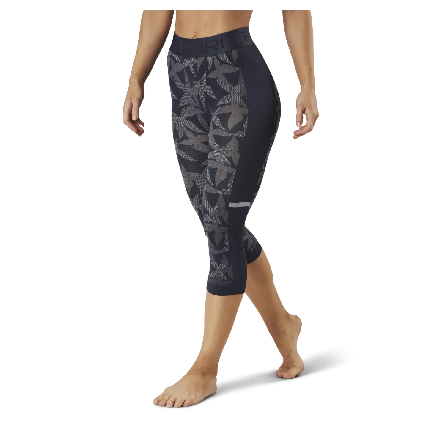 Butterfly Capri Blue