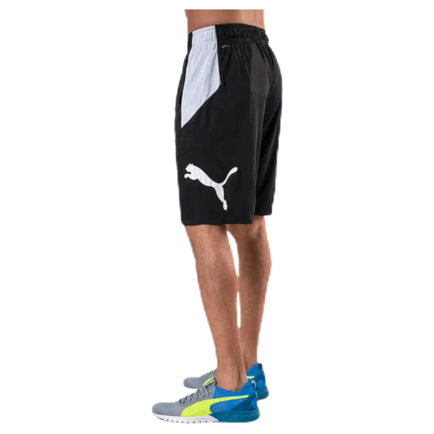 Cat Short White/Black