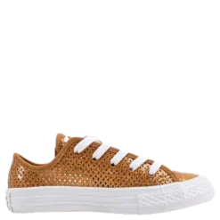 Chuck Taylor All Star Mesh Brown