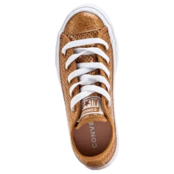 Chuck Taylor All Star Mesh Brown