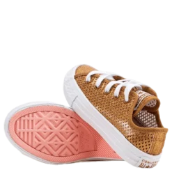 Chuck Taylor All Star Mesh Brown