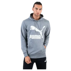 Classics Logo Hoody TR Grey