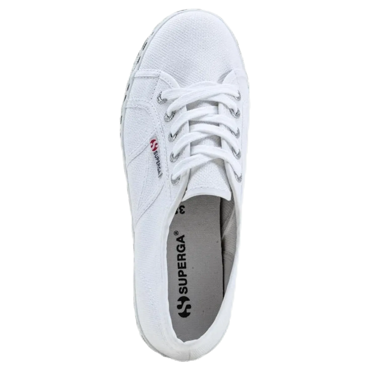 2790 Cotw Printed Foxin White