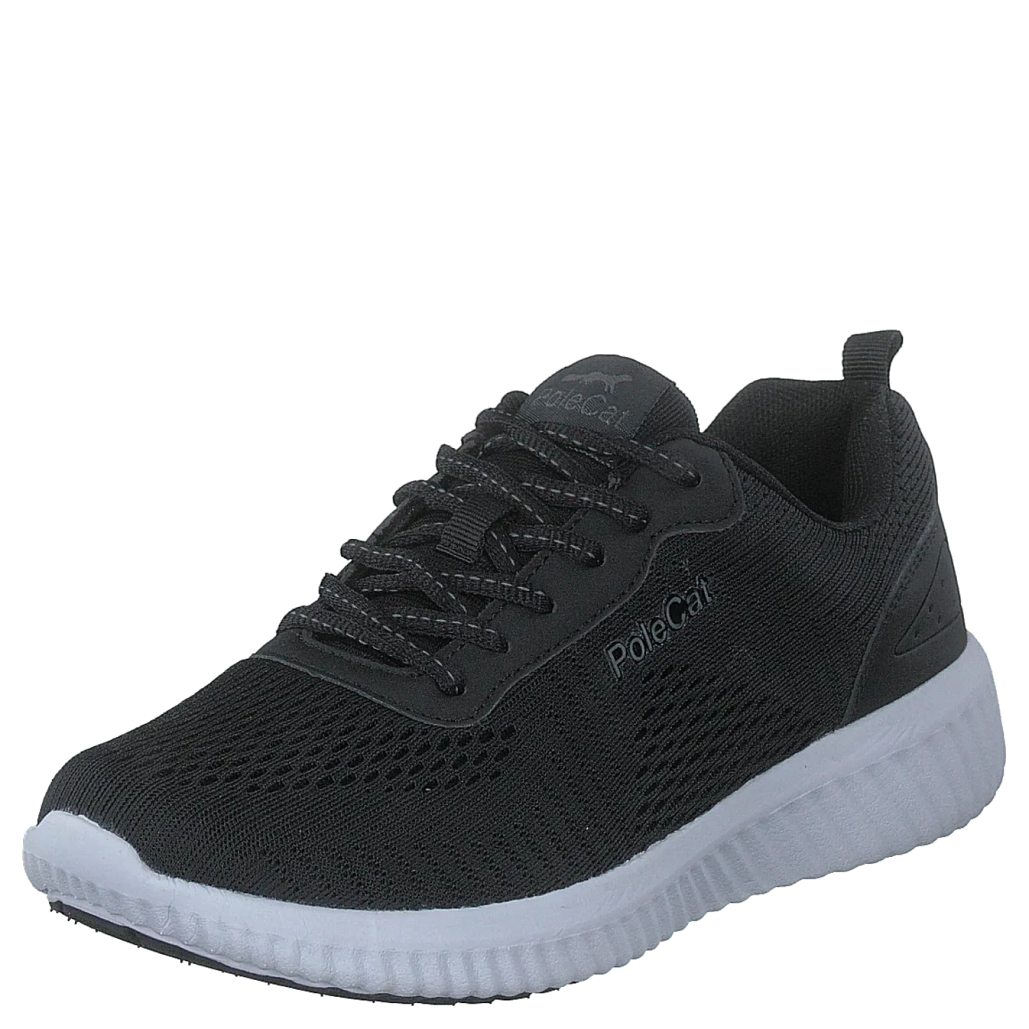 Credo Iowa Black