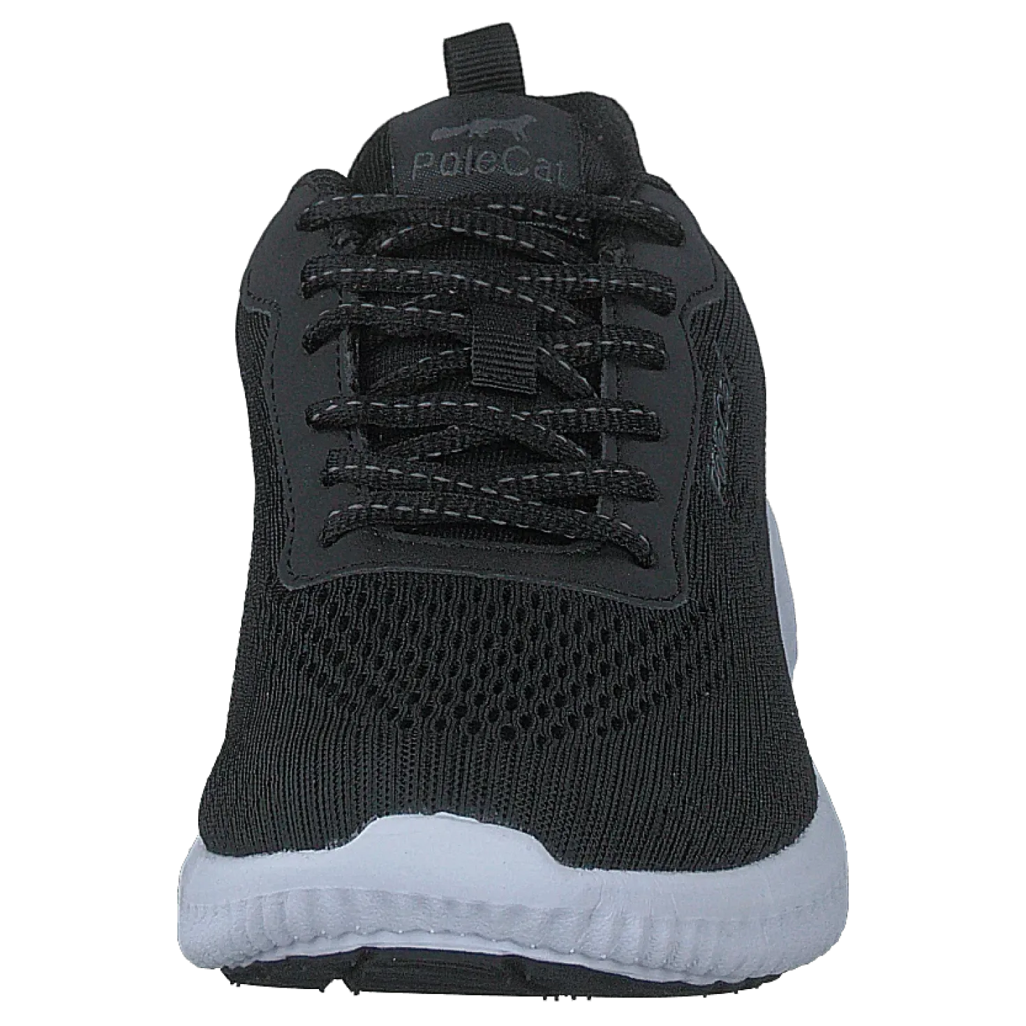 Credo Iowa Black