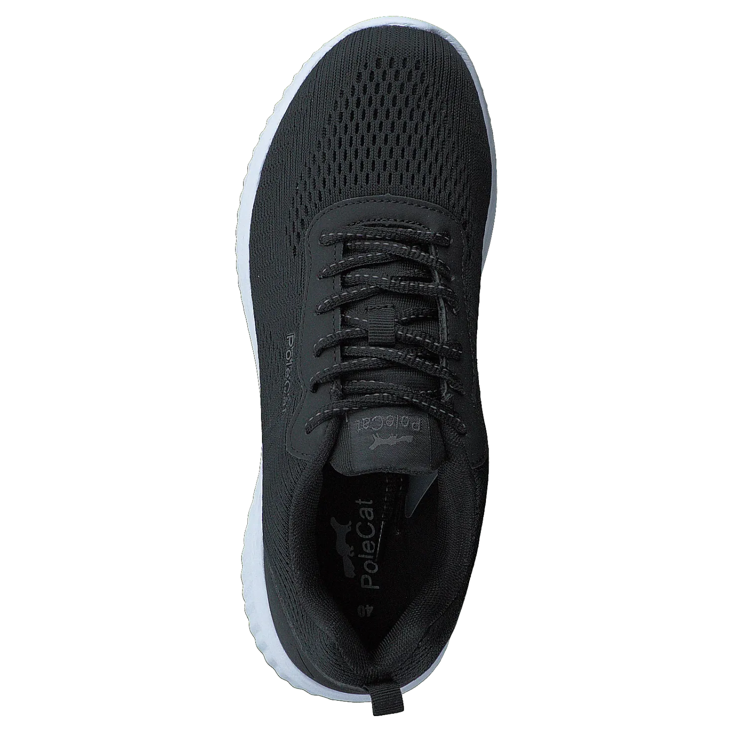 Credo Iowa Black