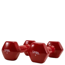Dumbbell Vinyl 2,7KG/6LBS