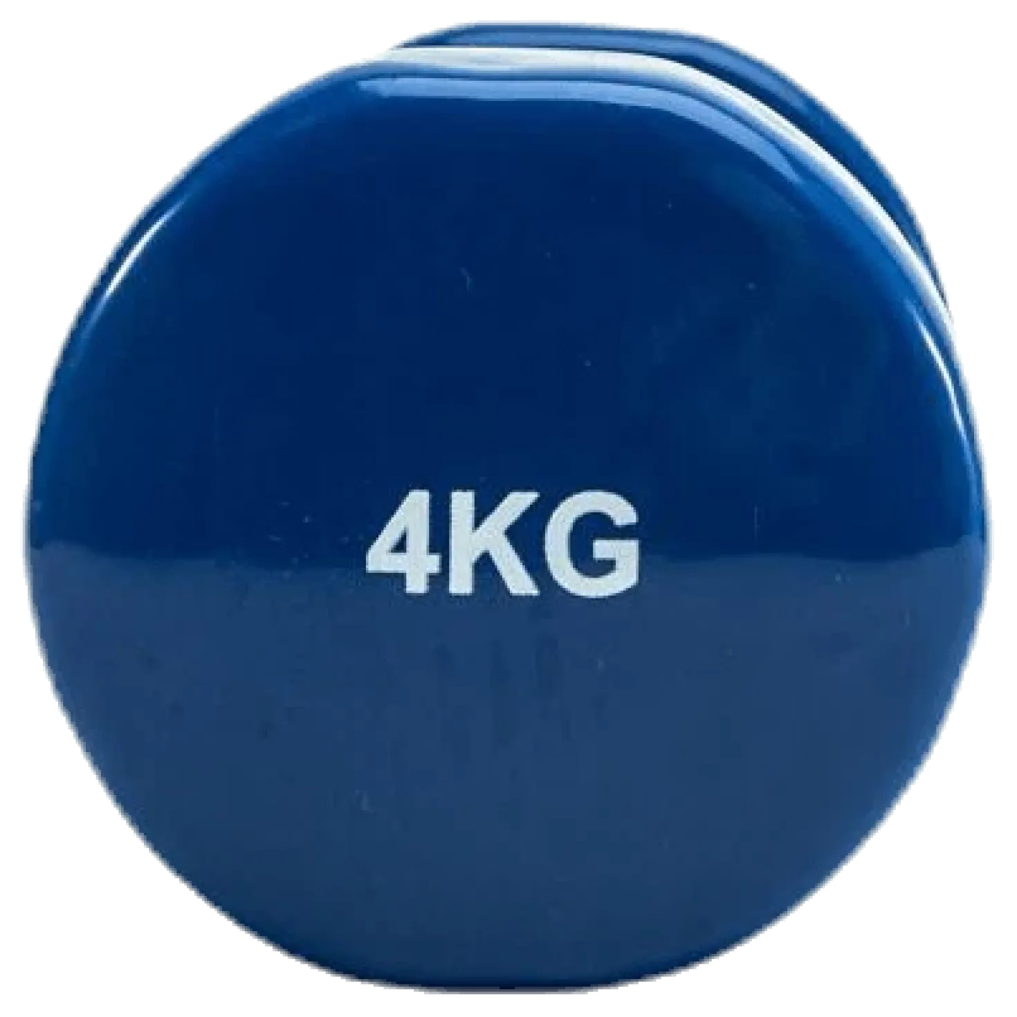 Dumbbell 1x4kg Blue