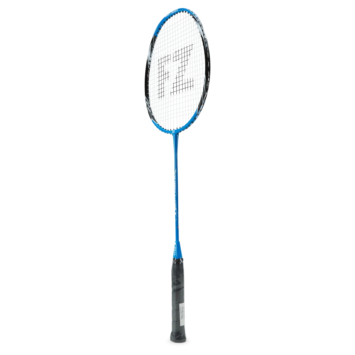 Dynamic 8 Blue Aster