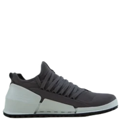 Ecco Biom 2.0 W Gravity/gravity