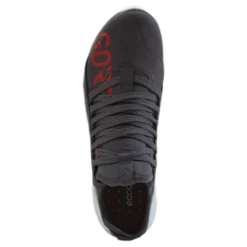 Ecco Biom 2.0 W Gravity/gravity