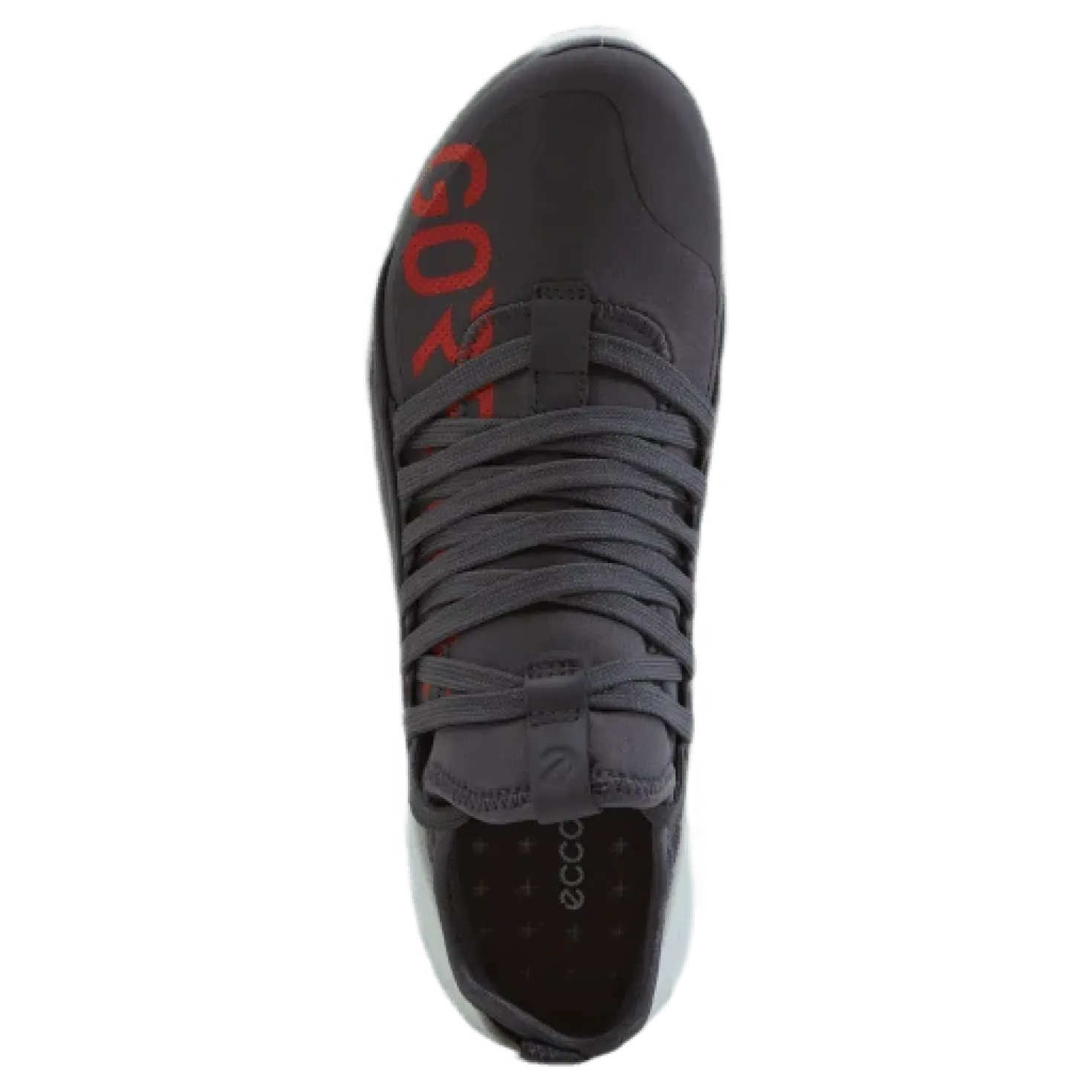 Ecco Biom 2.0 W Gravity/gravity
