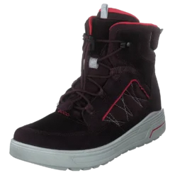 Ecco Urban Snowboarder Fig/teaberry