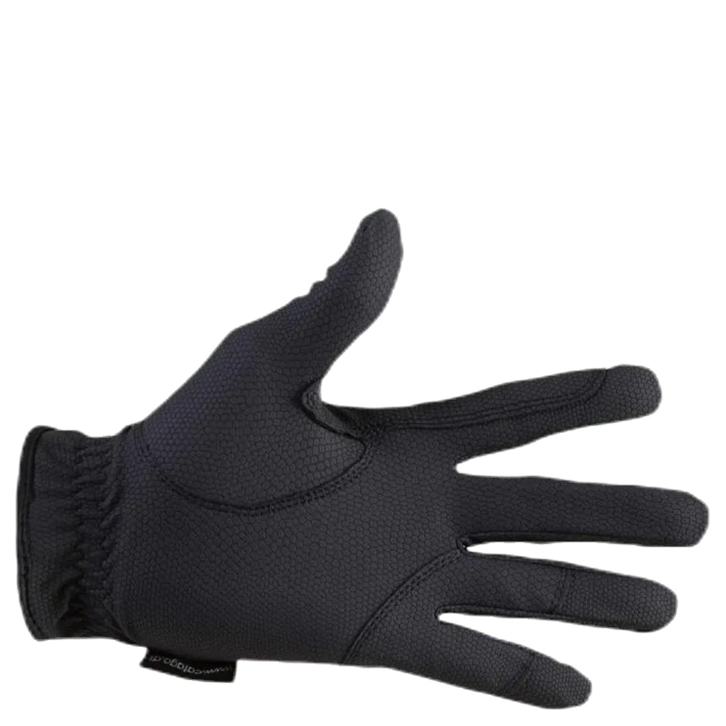 Elite Glove Blue