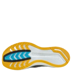 Endorphin Pro 2 Reverie