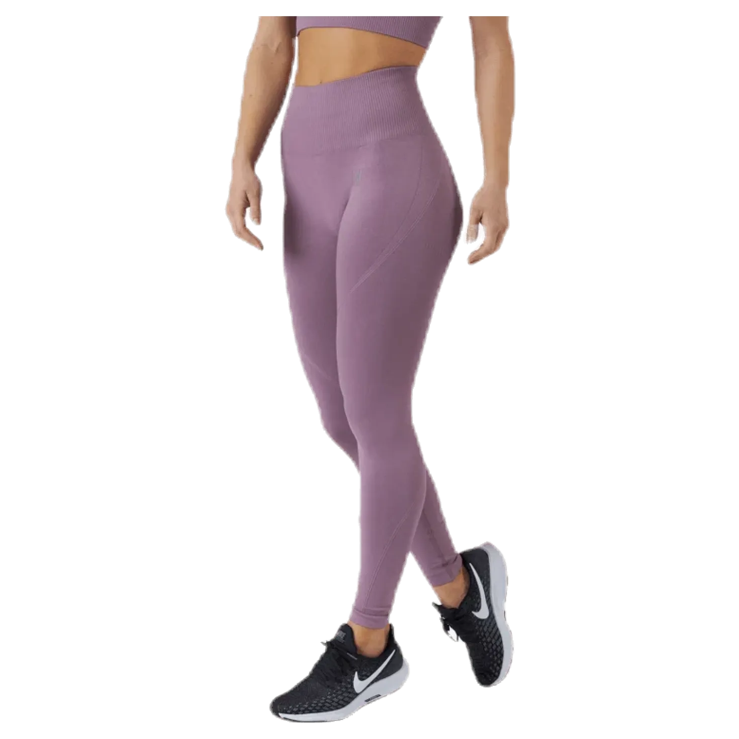 Erica Seamless Tights Purple