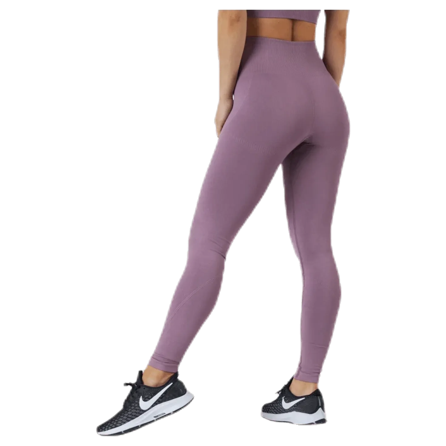 Erica Seamless Tights Purple