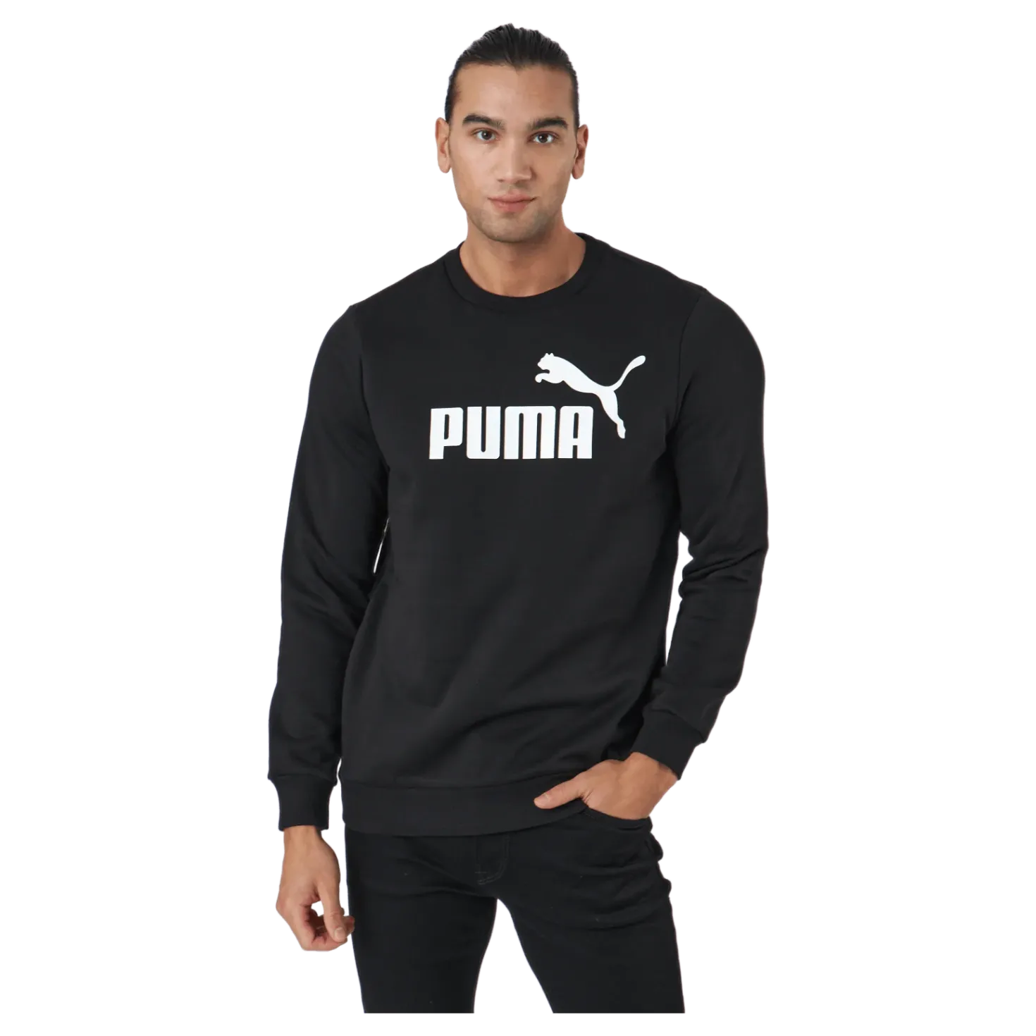 Ess Big Logo Crew Fl Puma Black