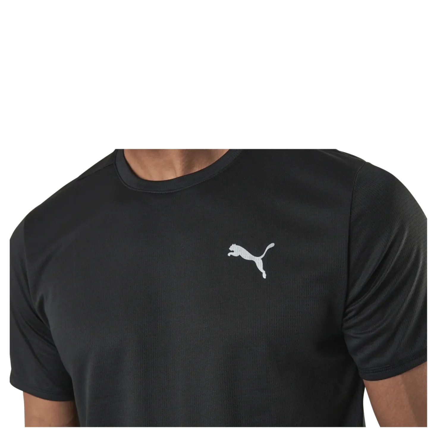Favorite Ss Tee Black