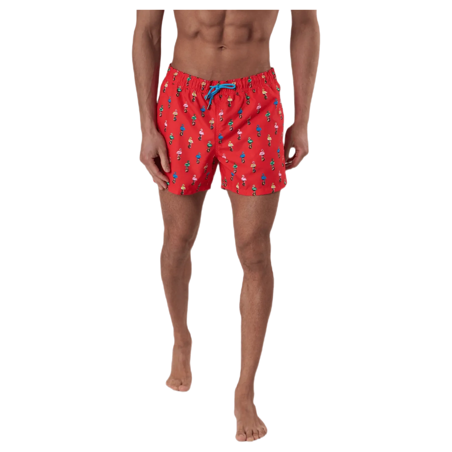 Flamingo Swimshorts Red