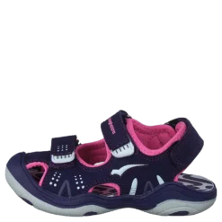 Flux Plum/pink