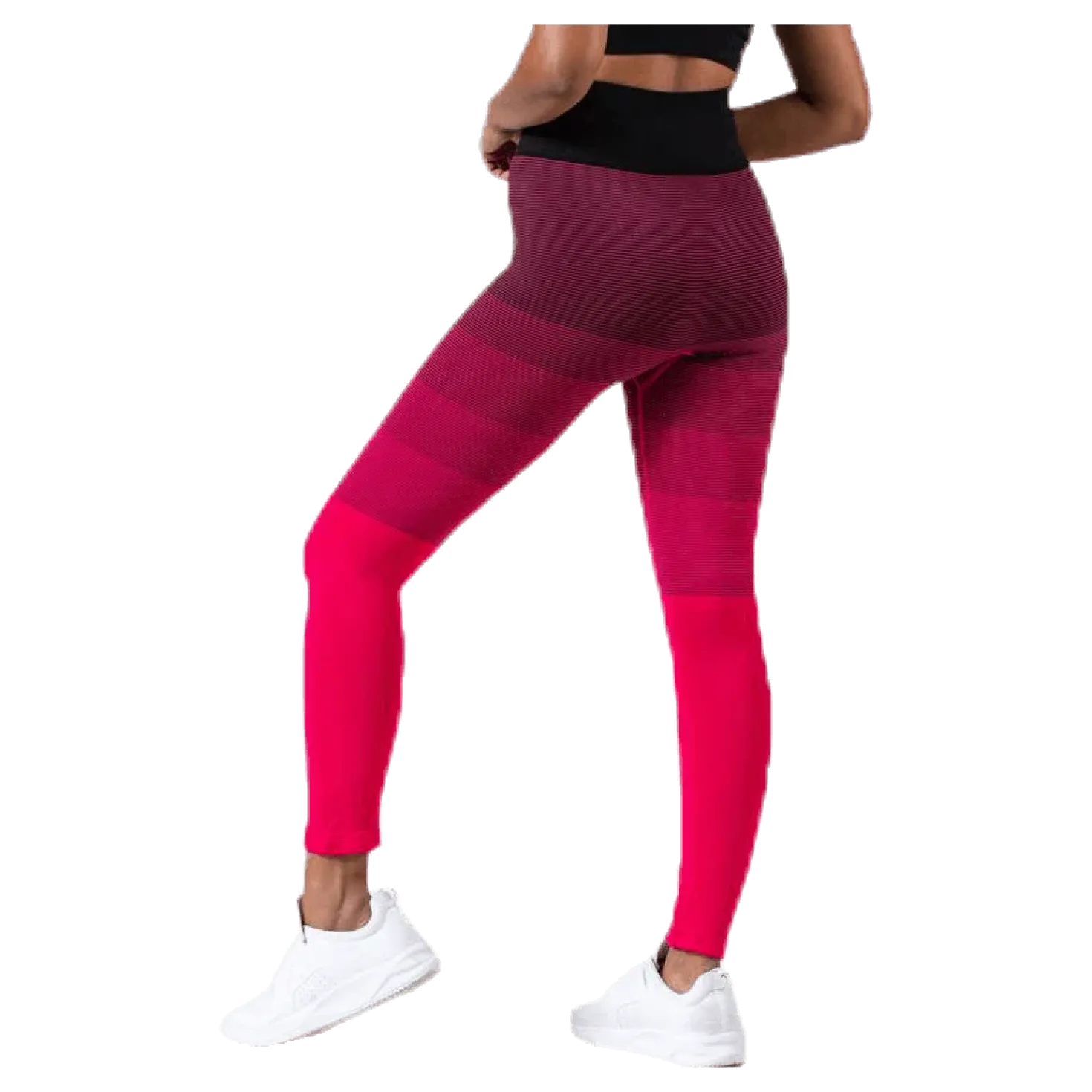Gradient Seamless Tights Pink