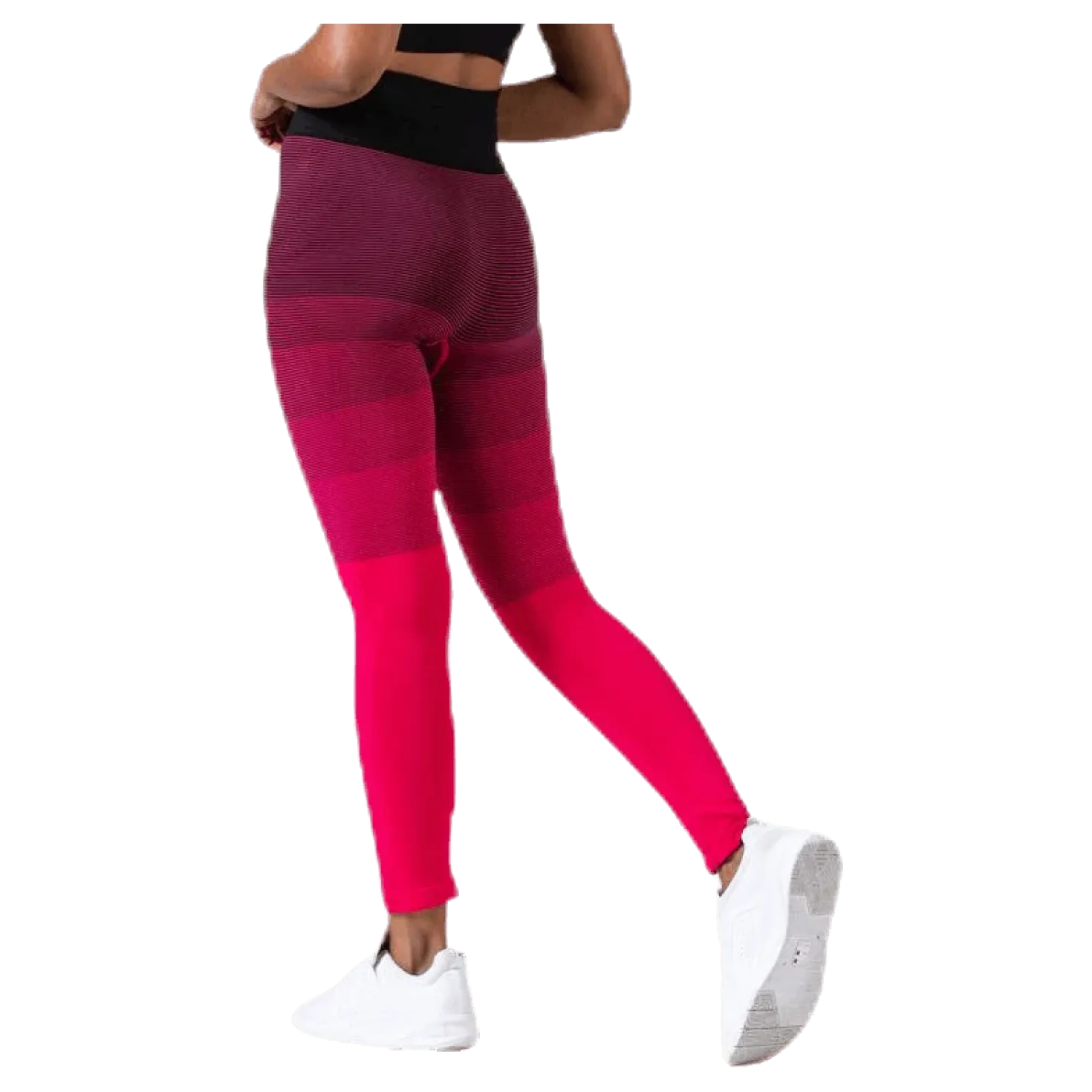 Gradient Seamless Tights Pink