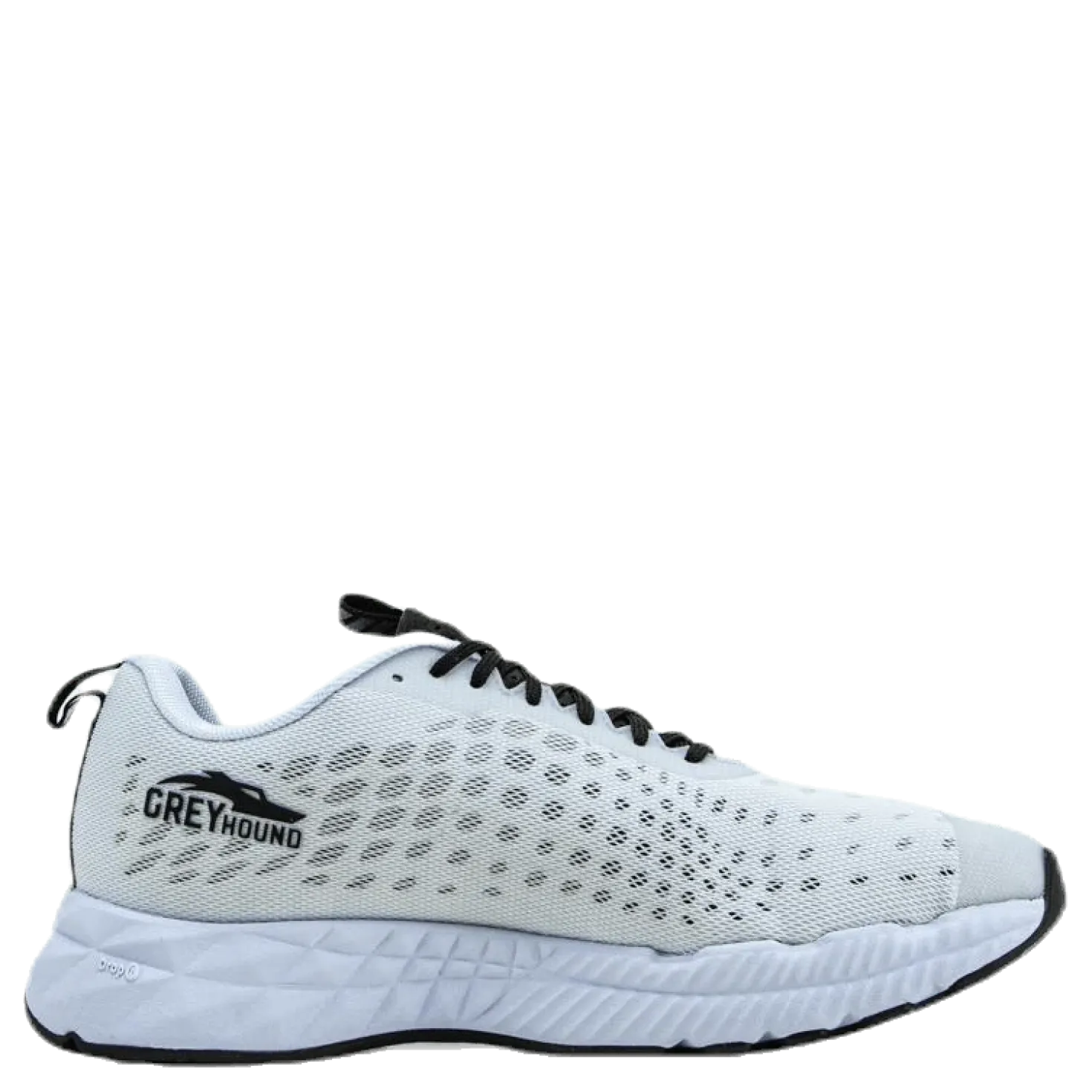 Greyhound White/Black