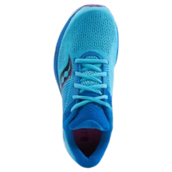 Guide 14 Blue Blaze/berry