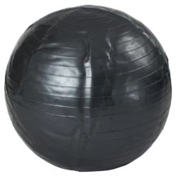 Gym Ball 70-75cm Black