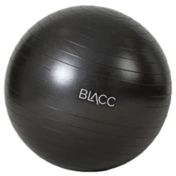 Gym ball 65cm Black