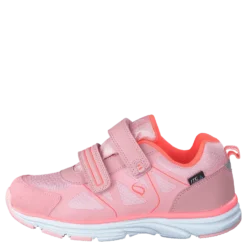 Hamar Coral