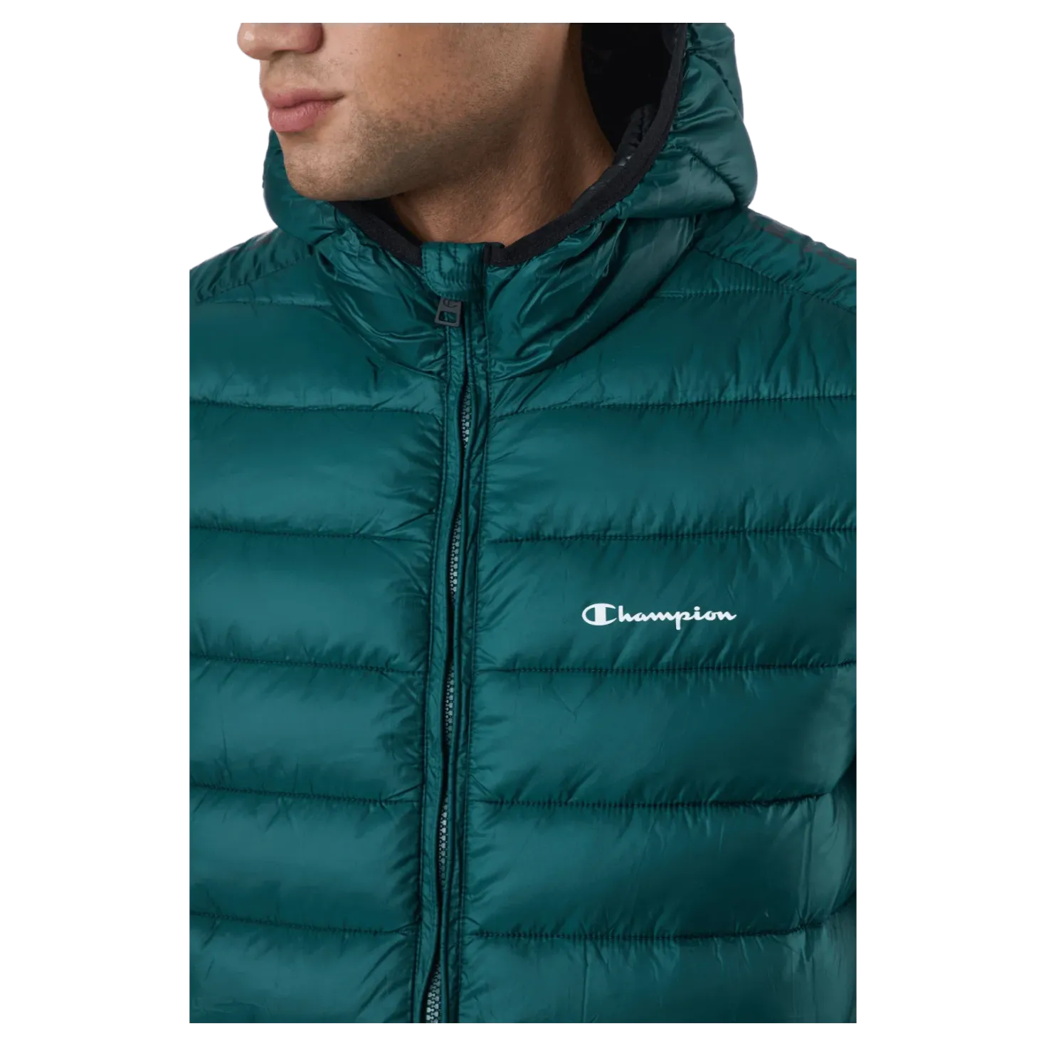 Hooded Jacket Rain Forest