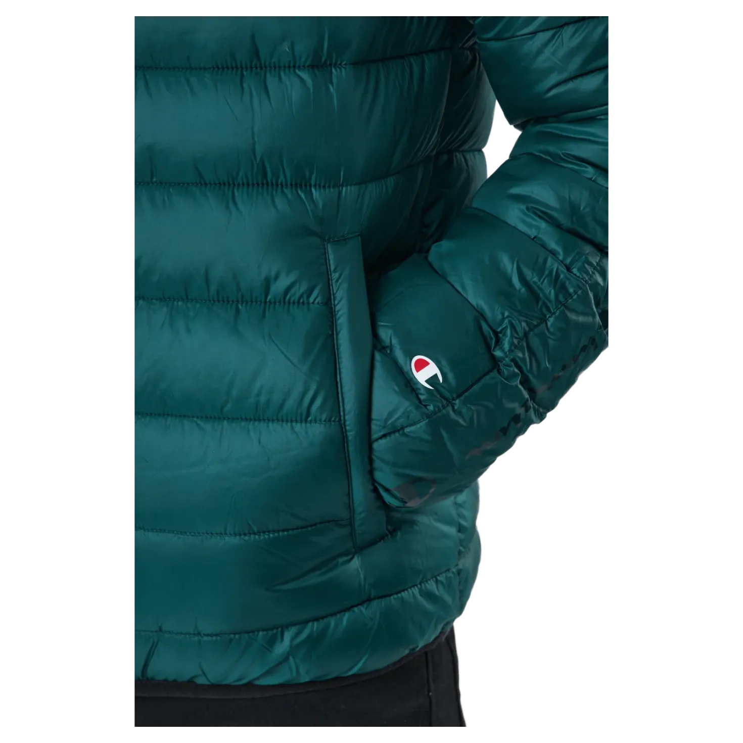 Hooded Jacket Rain Forest