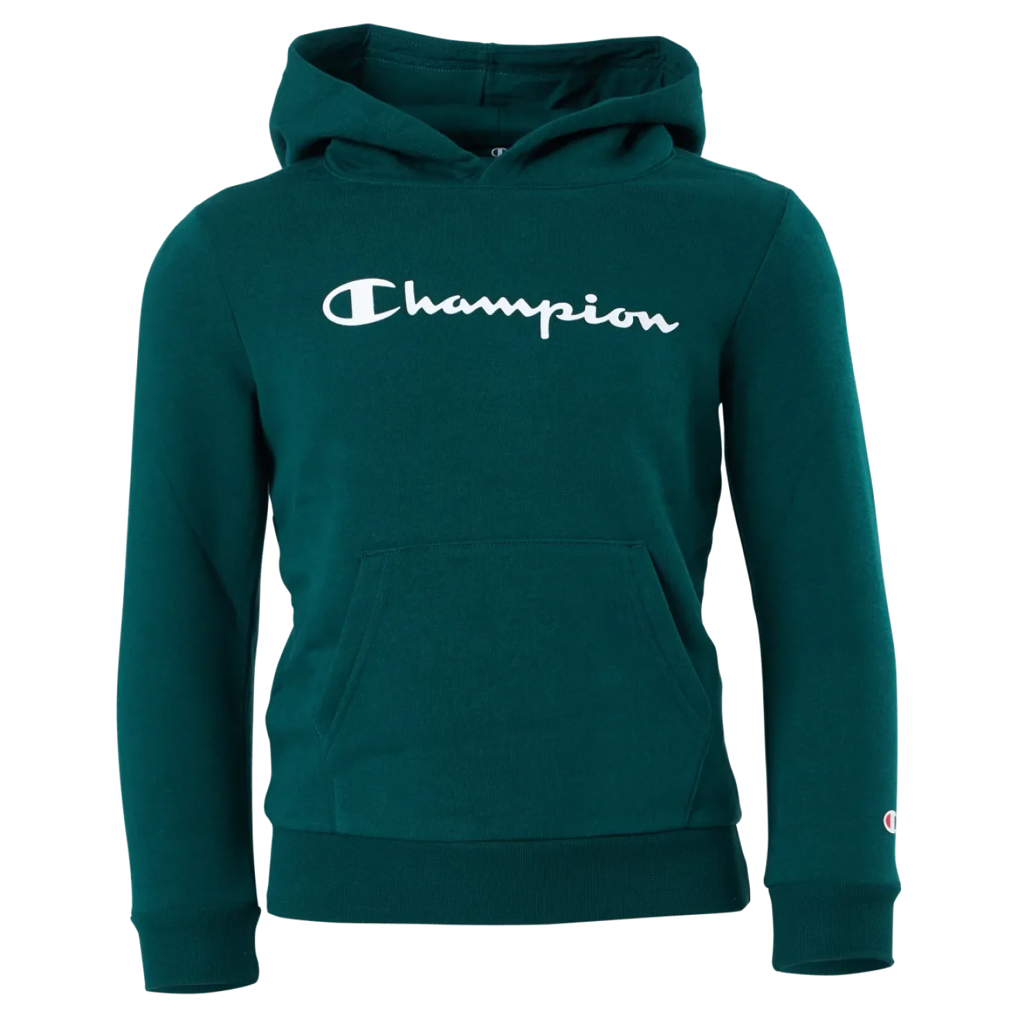 Hooded Sweatshirt Rain Forest