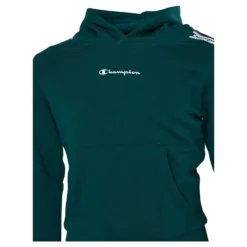 Hooded Sweatshirt Rain Forest