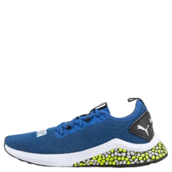 Hybrid NX Junior Blue/Yellow