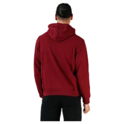 Iconic Twill Hoodie Purple