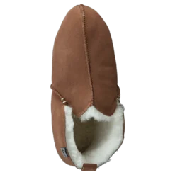Innsbruck Chestnut